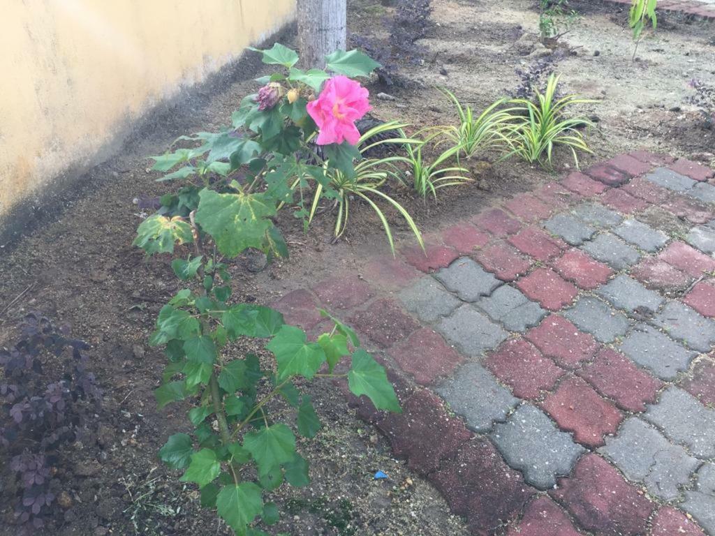 The Garden Vacation Home Lumut Kültér fotó
