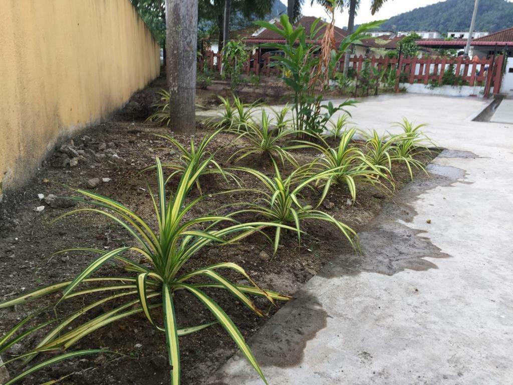 The Garden Vacation Home Lumut Kültér fotó